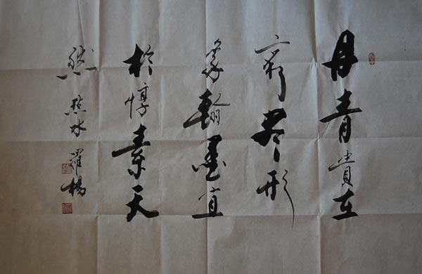 罗杨-书法-100x70