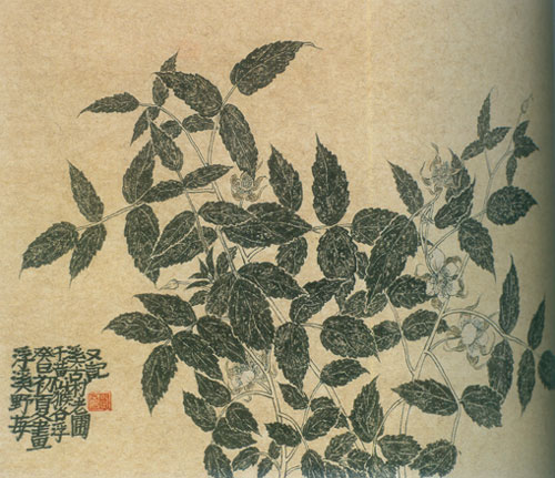 老圃-浮溪写真-45x60cm-2013年